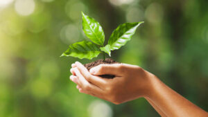 Responsabilidade Ambiental