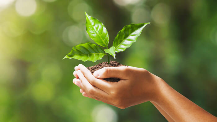 Responsabilidade Ambiental